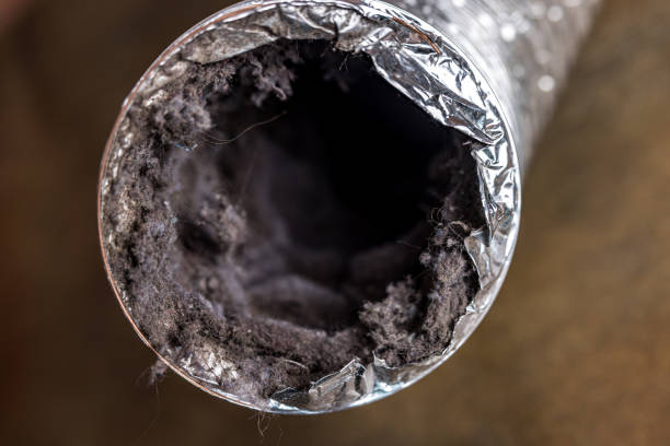 Best Ductwork Cleaning Services  in Henderson, KY