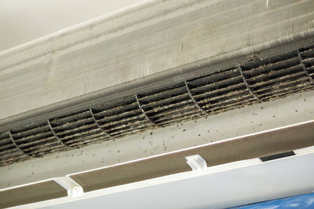Best HVAC Air Duct Cleaning  in Henderson, KY